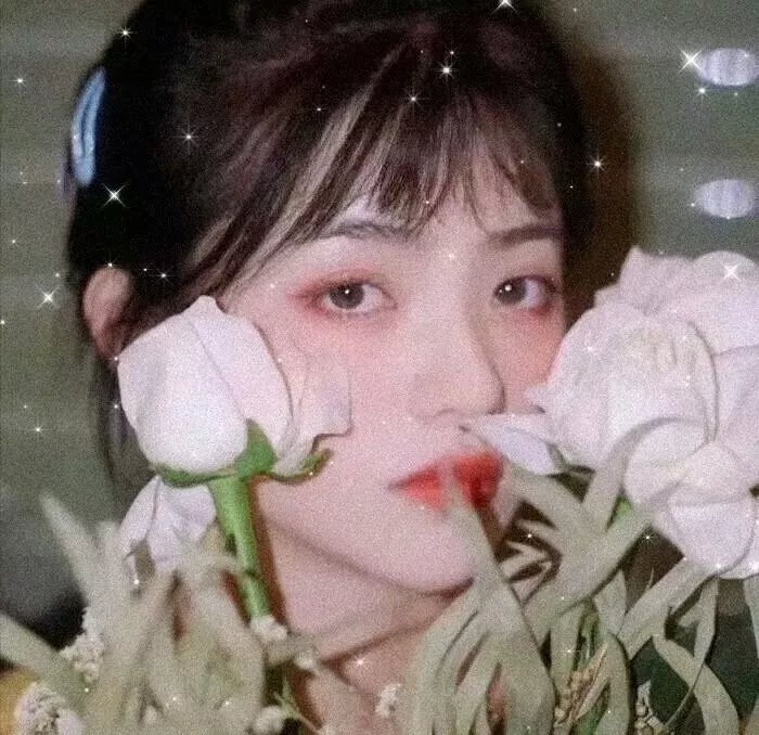 大唐荣耀