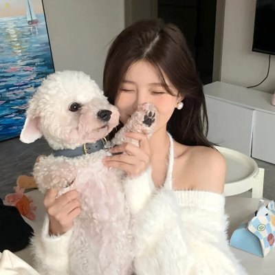精灵高中之纽约