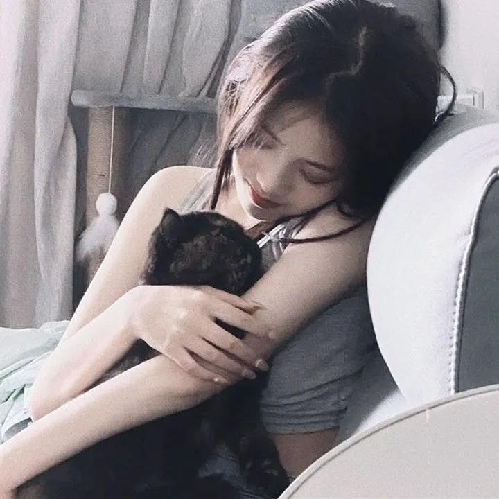 法证先锋2